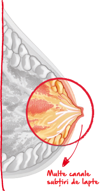 Copied from mothers – and Mother Nature.